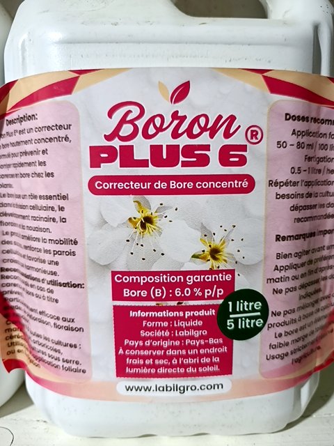 Boron plus 6