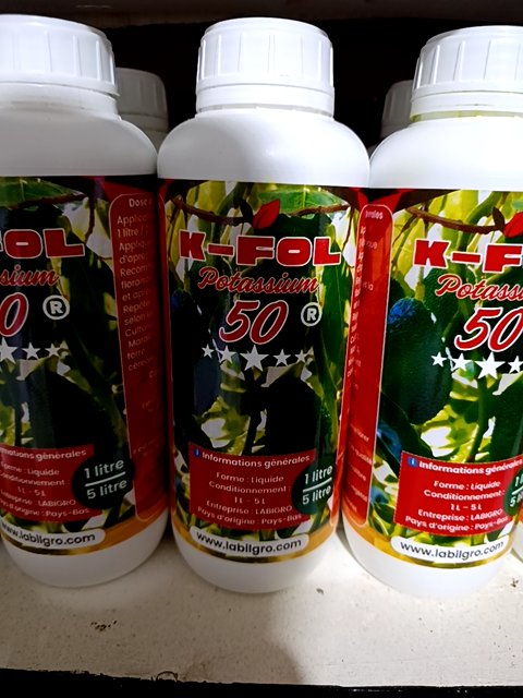 K-fol.potasium
