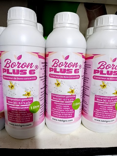 Boron plus 6