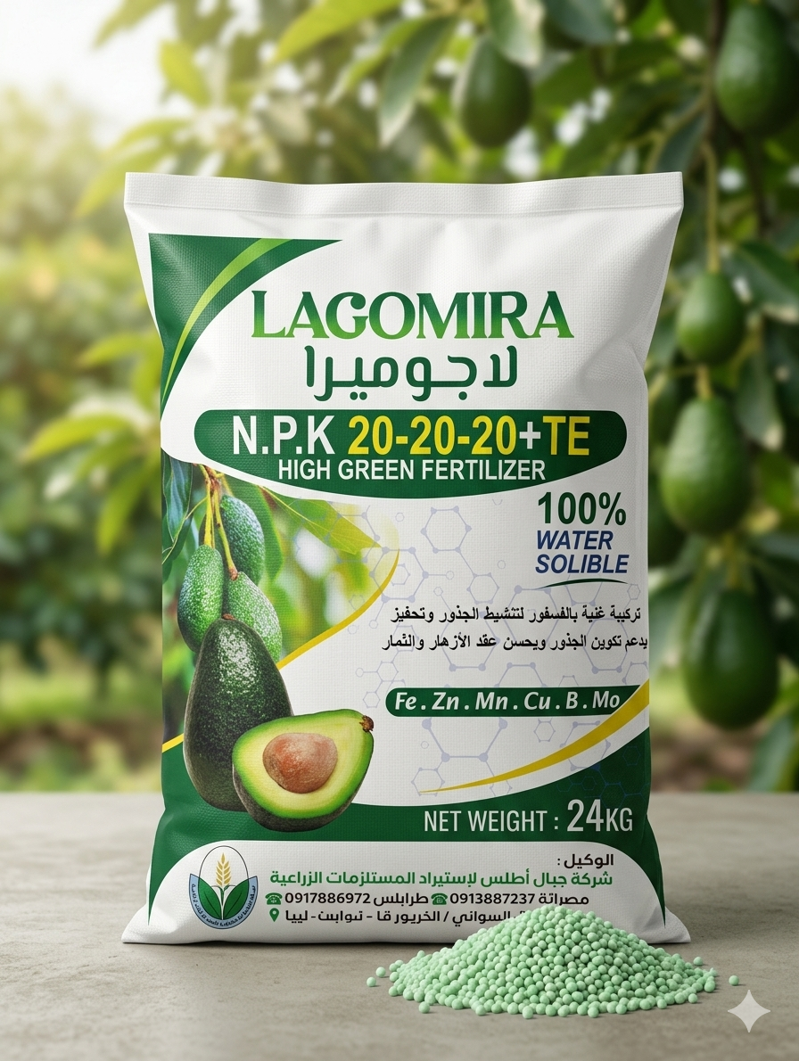 lagemira-20-20-20