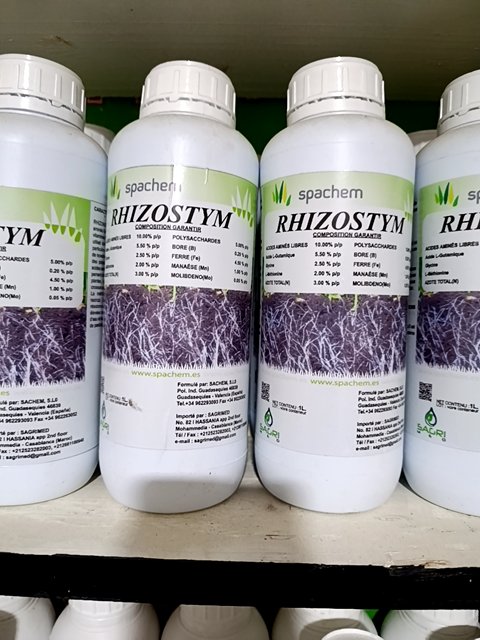 RAHYZOSTIM 1L