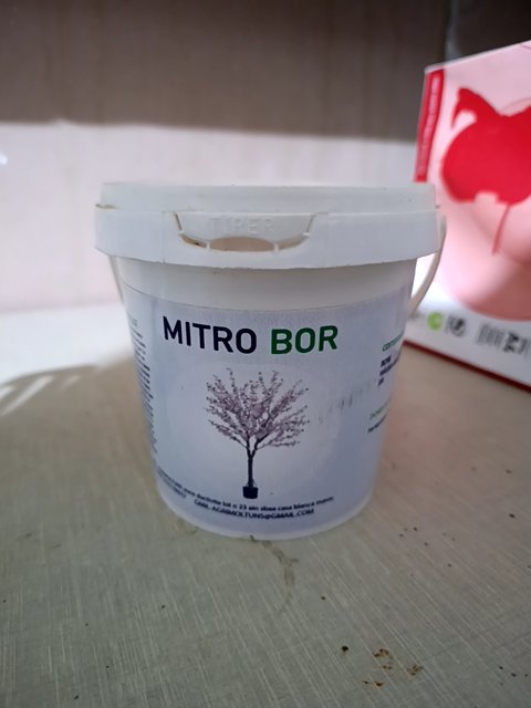 MiTRO BOR