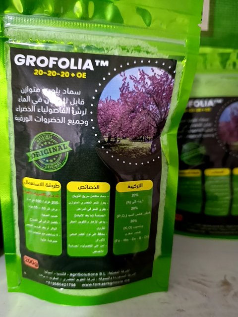 Grofolia-20-20