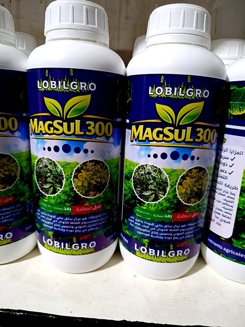 Magsul300