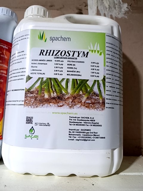 Rahyzostim